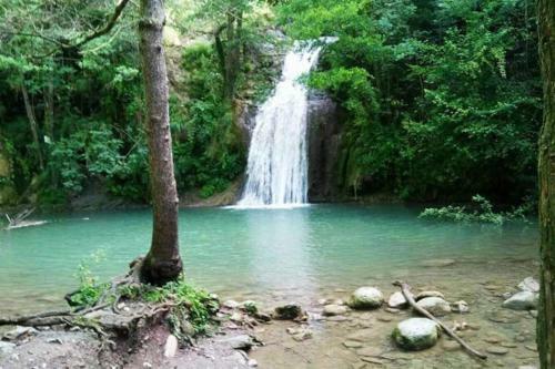 Villa Mas�a La Garrotxa