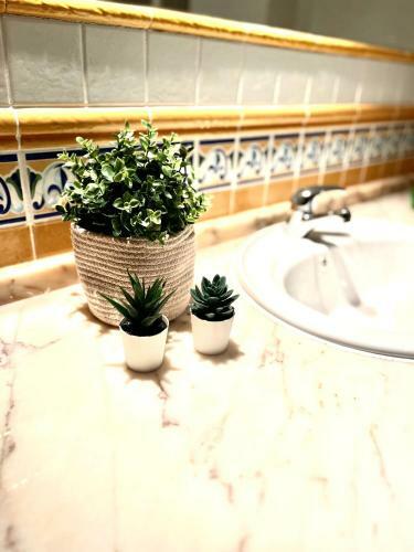 Apartamento Villa Rangel