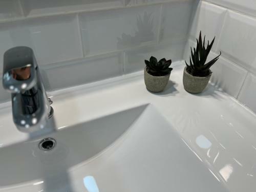 Apartamento Villa Rangel Vip