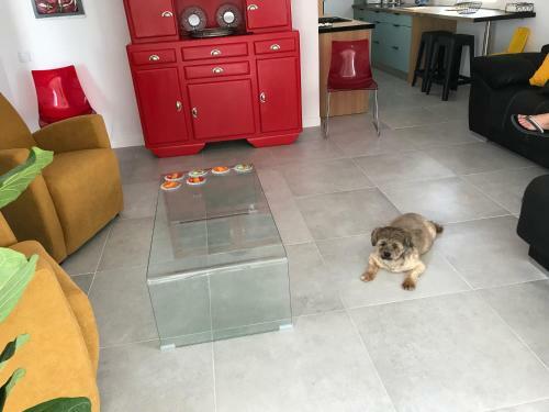 Villa Campagne Luxueuse De Sitges