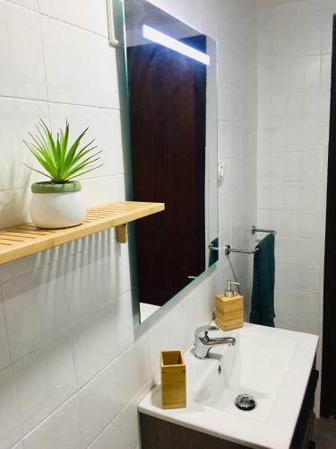 Apartamento Buenavista 2 Olite