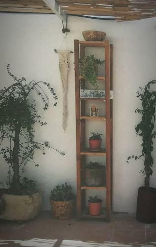 La Casita Azul