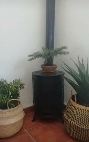La Casita Azul