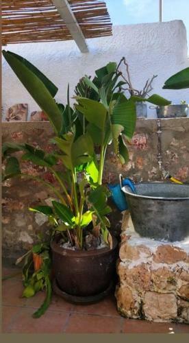 La Casita Azul