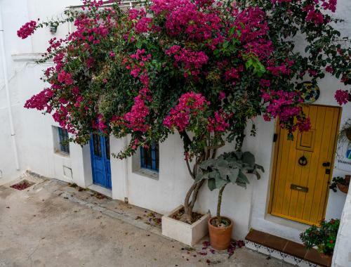 Apartamento Nijar Bella Y Su Parque Natural Cabo de Gata