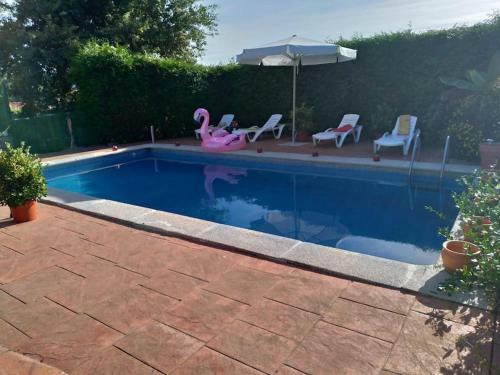 Apartamento Swimming Pool, Beach And Garden In Nigran