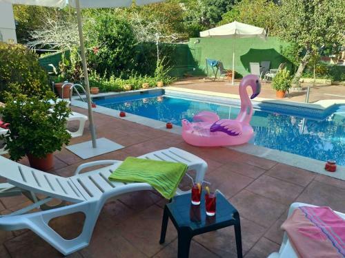 Apartamento Swimming Pool, Beach And Garden In Nigran
