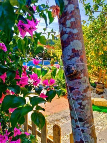 Apartamento Swimming Pool, Beach And Garden In Nigran