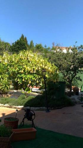Apartamento Swimming Pool, Beach And Garden In Nigran