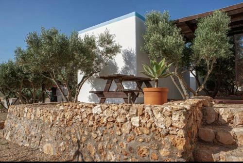Apartamento El Rinc�n De Los Albaricoques