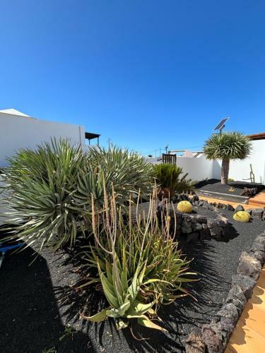 Villa Rinc�n Oasis Nazaret