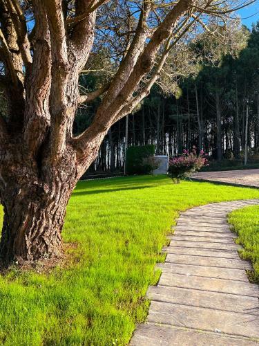 Apartamentos El Puebl�n Del Pinar