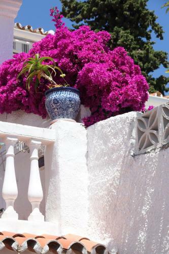 Apartamento Casa P.jazmin - Nerja - Spain