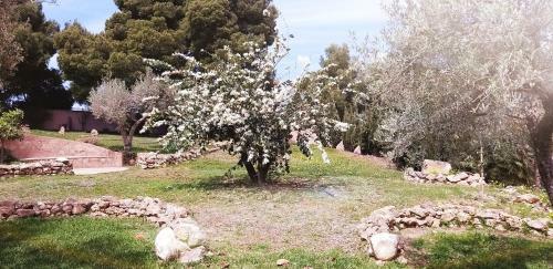 Cortijo Nerja Artist Paradise