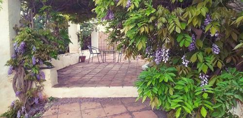 Cortijo Nerja Artist Paradise