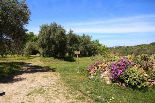 Agroturismo B&B Nuraximannu