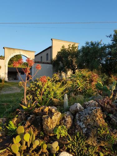 Agroturismo B&B Nuraximannu