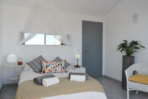 Ap270 - Atalaya