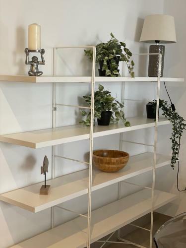 Apartamento Ap310 - Colon Bajo
