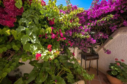 Apartamento Pinos 2