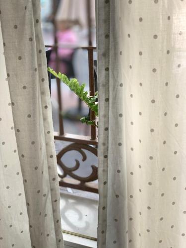 Apartamento Pintada 57