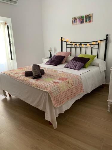 Apartamento Pintada 57