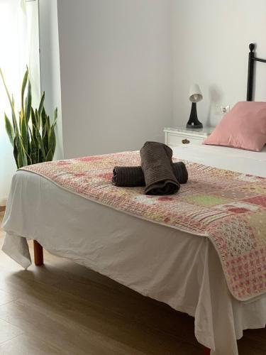 Apartamento Pintada 57