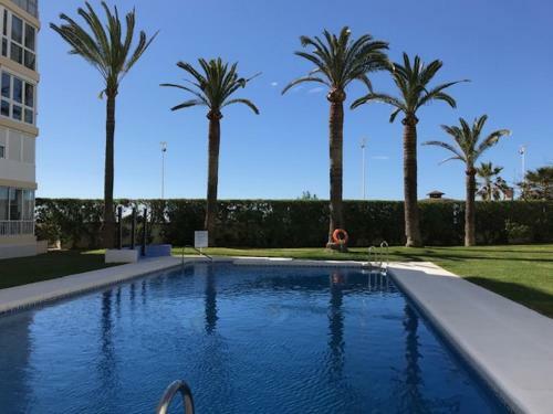 Apartamento Torresol406