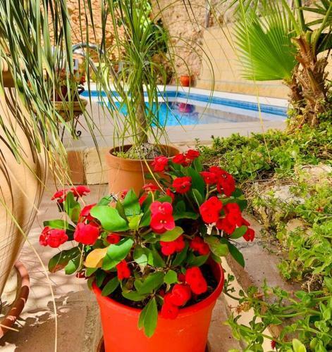 Apartamento Atico, Terraza & Piscina By Boutique Hostal Lorca, Nerja