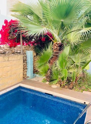 Apartamento Atico, Terraza & Piscina By Boutique Hostal Lorca, Nerja