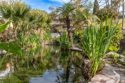 Tetuan 40 Oasis Properties