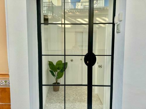 Apartamento Nueva 29