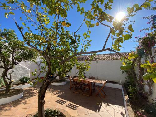 Shr054 Via Real Apartamento En San Juan De Capistrano