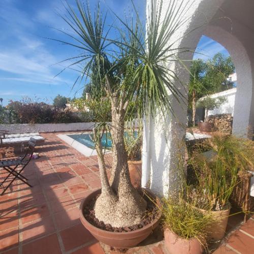 Andalusian Villa With Heated Pool