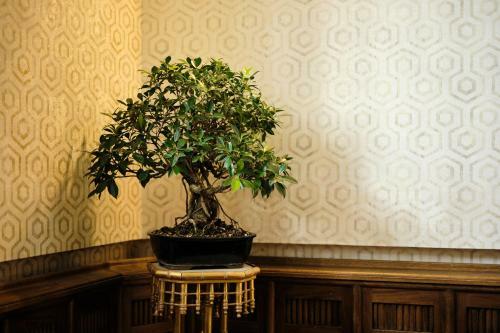 Hotel Boutique Villa Del Marqu�s