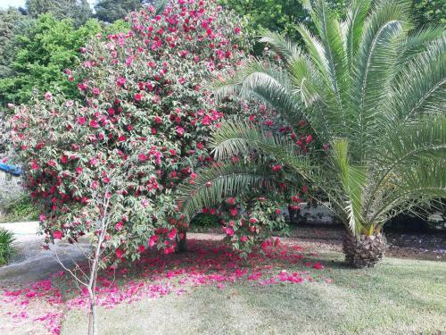 Bed & Breakfast Casa Da Espinhosa