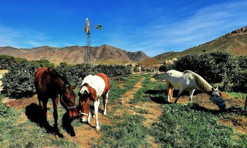 Agroturismo Ecoturismo Cabo Ti�oso