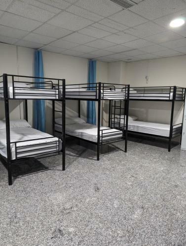 Albergue Hoomy