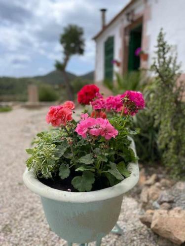 La Casa De Ladrillo, Relax Y Trekking House.