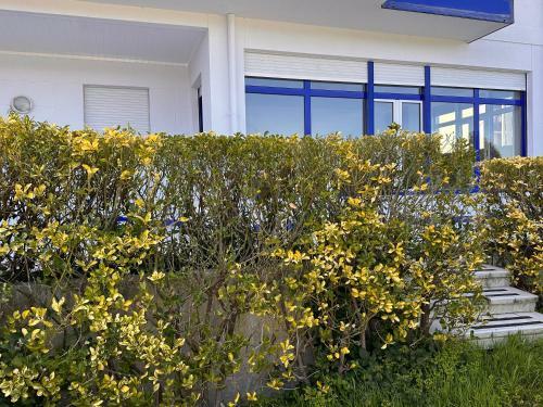 Apartamento Casa Azul Santa Katalina
