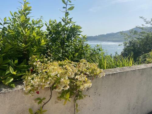 Villa Mundaka Beachfront House