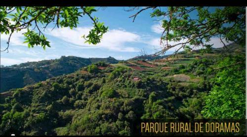 Apartamento Casa Rural Los Tilos Betancor