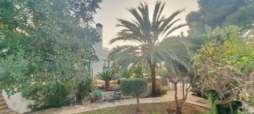 Villa Azurita