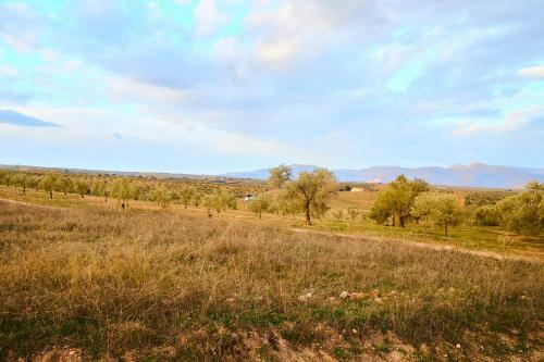 Finca Las Calmas Boutique Hotel & Retreats