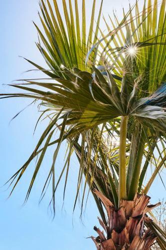 Finca Las Calmas Boutique Hotel & Retreats