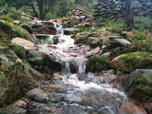 Hotel Resort H�pico El Hinojal