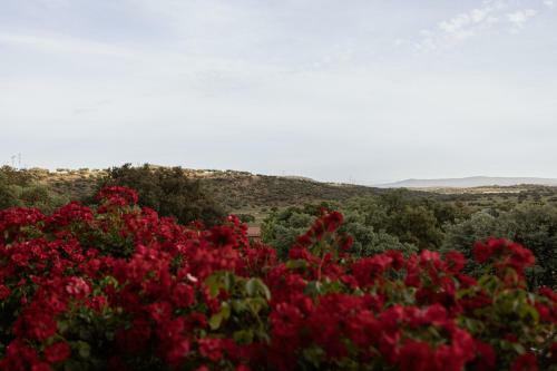 Hotel Resort H�pico El Hinojal