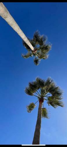 Apartamento Moj�car Vibes 1 L�nea De Playa