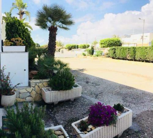 Apartamento Moj�car Vibes 1 L�nea De Playa