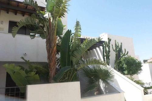 Apartamento Soleado Con Terraza Privilegiada